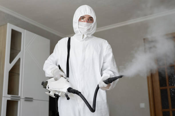 Why You Should Choose Our Mold Remediation Services in Dickinson, ND